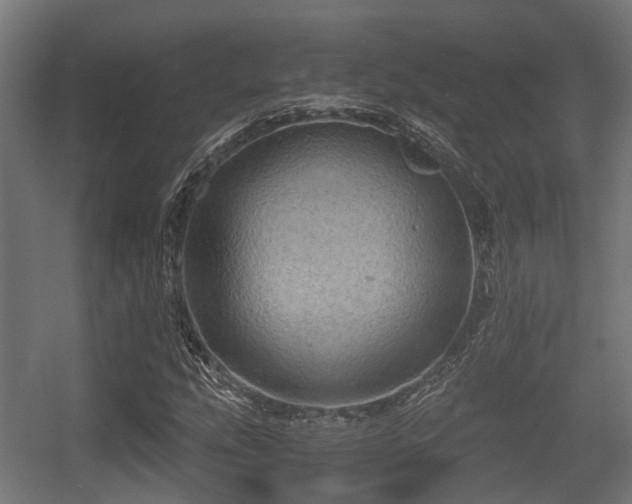 X0000056381207200508291403