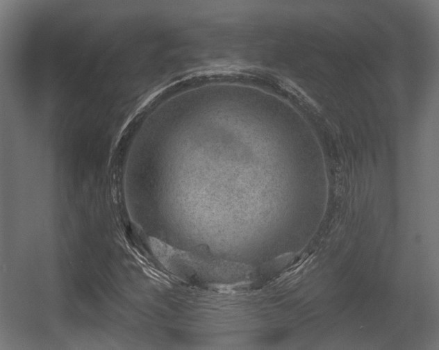 X0000056381208200508291403