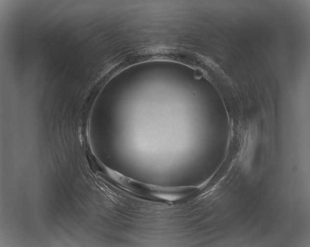 X0000056381209200508291403