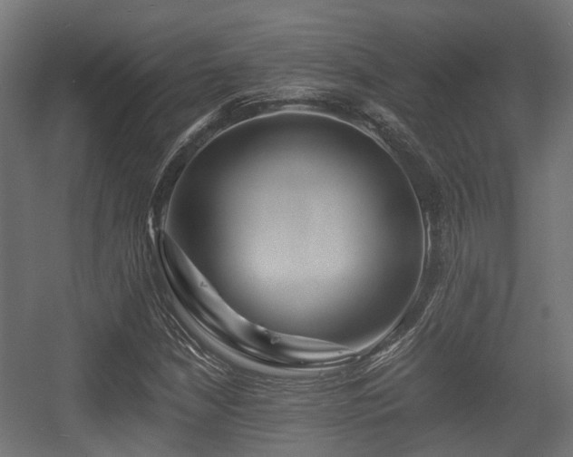 X0000056381210200508291403