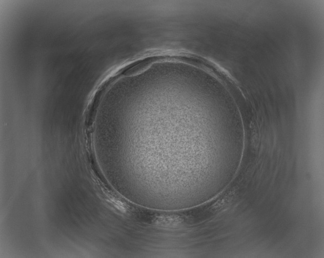 X0000056381215200508291403