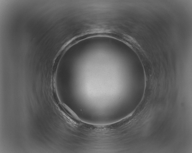 X0000056381220200508291403