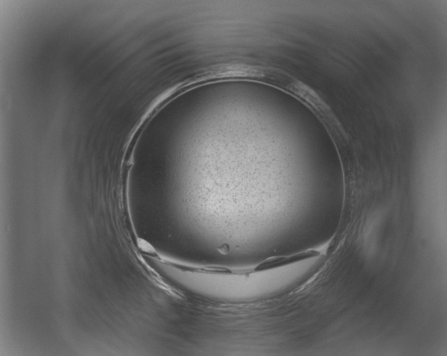 X0000056381236200508291403