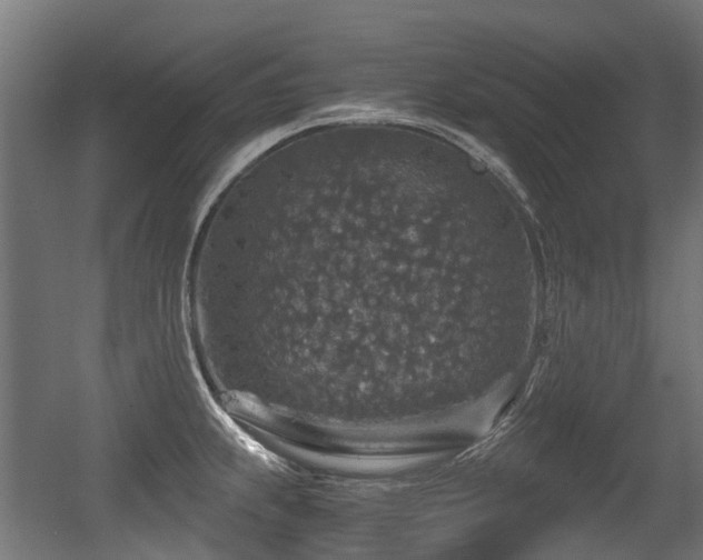 X0000056381239200508291403
