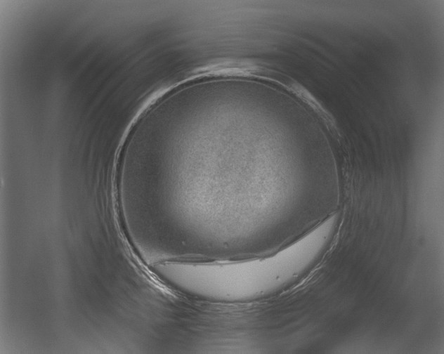 X0000056381240200508291403
