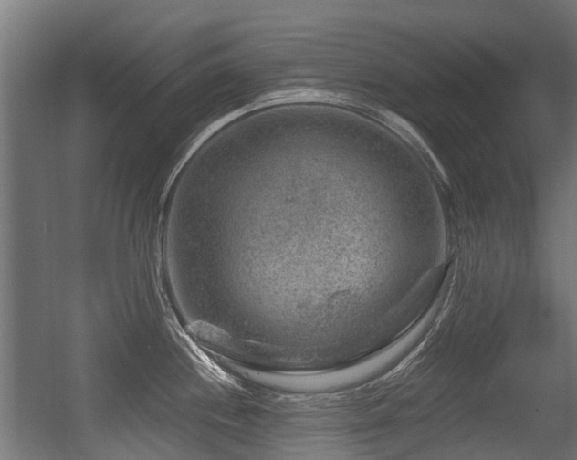 X0000056381244200508291403