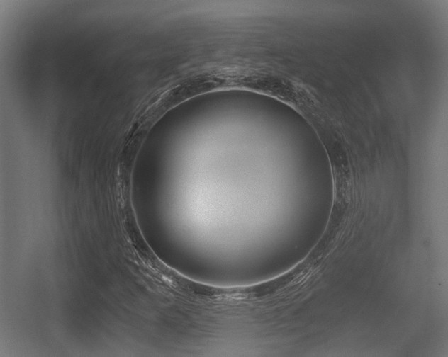 X0000056381253200508291403