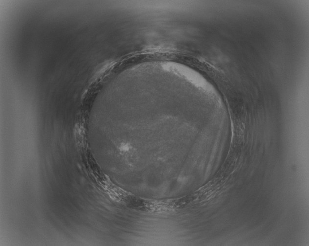 X0000056381254200508291403