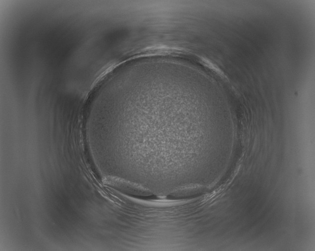 X0000056381259200508291403