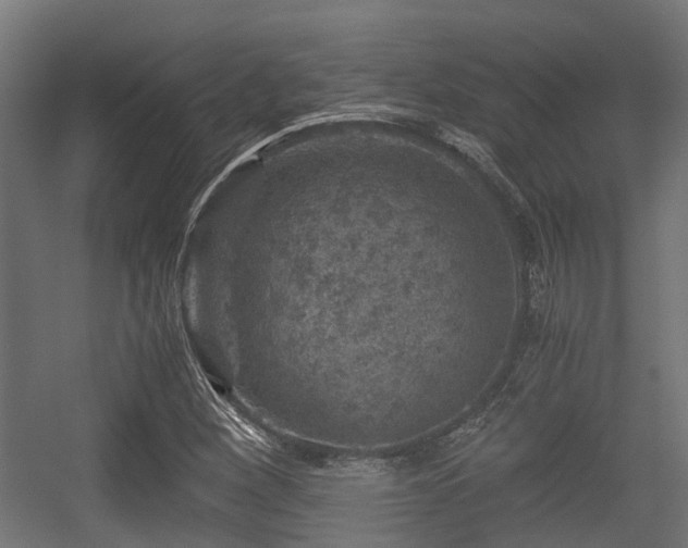 X0000056381260200508291403