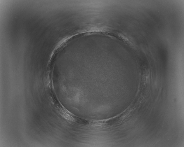 X0000056381262200508291402