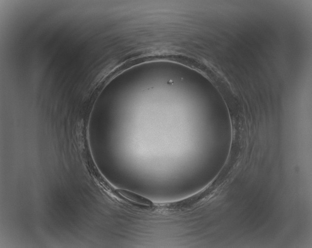 X0000056381265200508291402