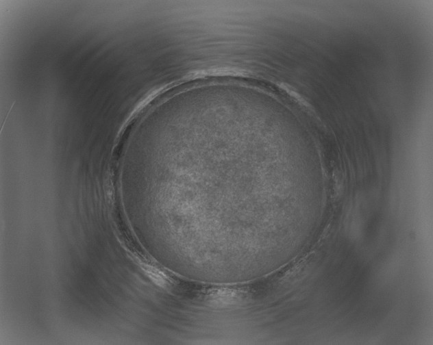X0000056381266200508291402