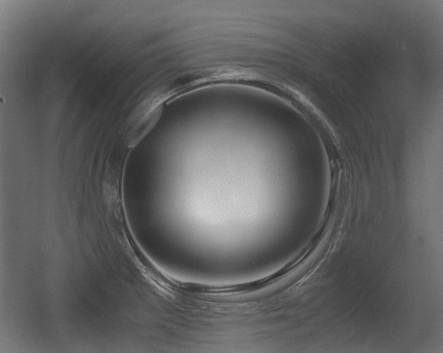 X0000056381281200508291402