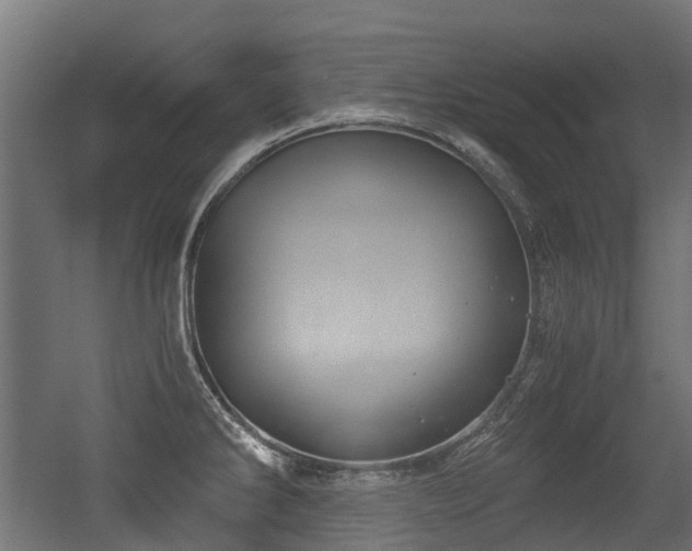 X0000056381286200508291402