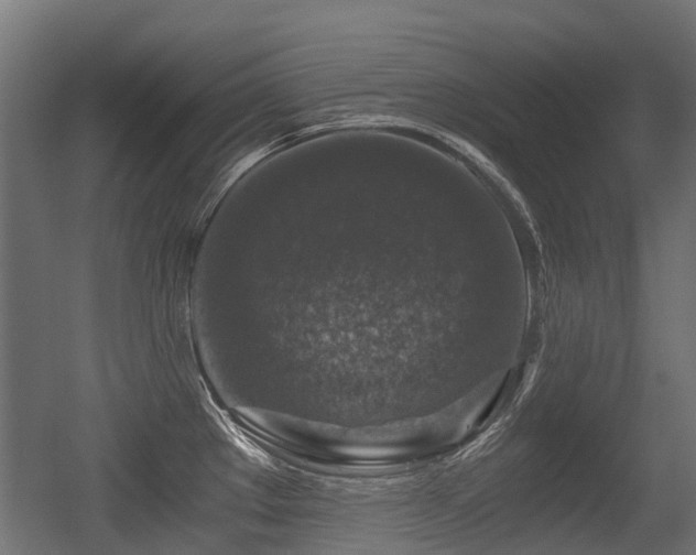X0000056381289200508291402