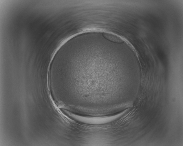 X0000056381295200508291402