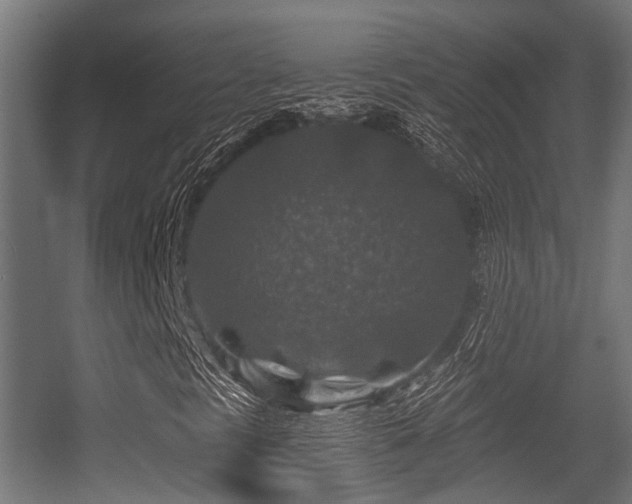 X0000056381297200508291401