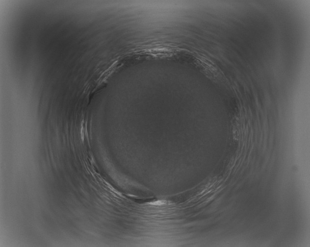X0000056381298200508291401