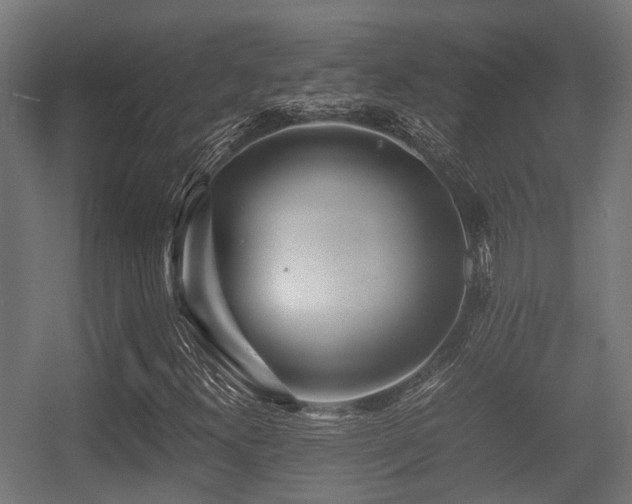 X0000056381300200508291401