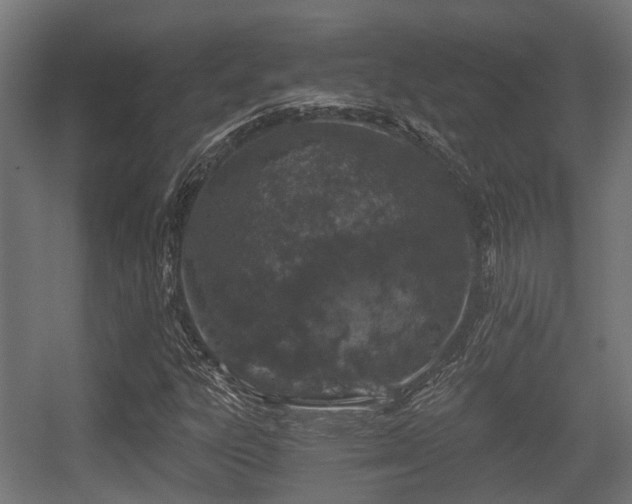 X0000056381303200508291401