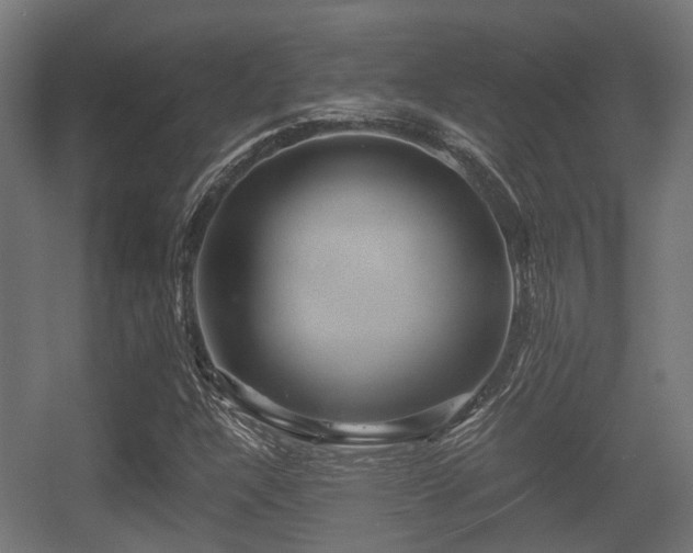 X0000056381304200508291401