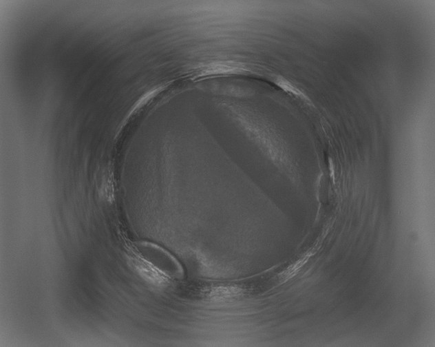 X0000056381306200508291401