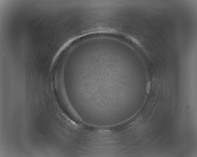 X0000056381310200508291401