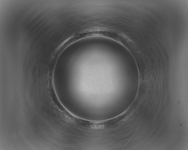 X0000056381313200508291401