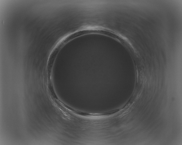 X0000056381319200508291401