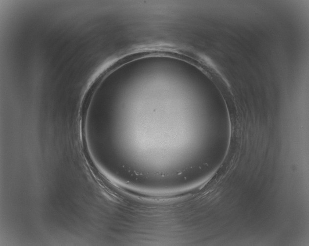 X0000056381320200508291401