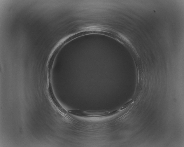 X0000056381323200508291402