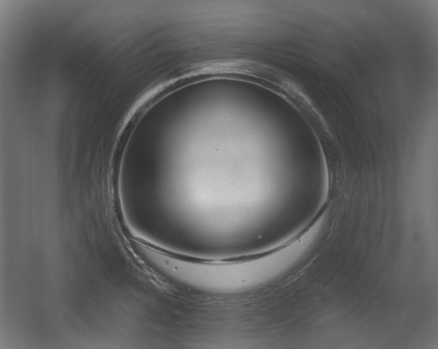 X0000056381328200508291402