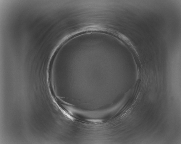 X0000056381334200508291402