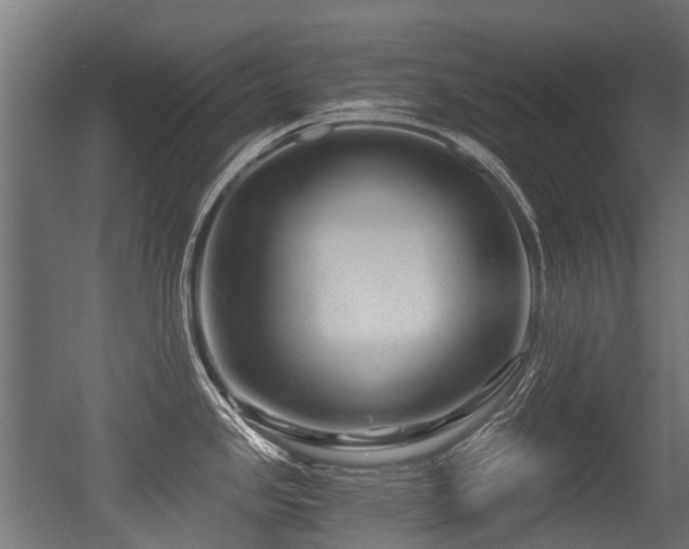 X0000056381341200508291402