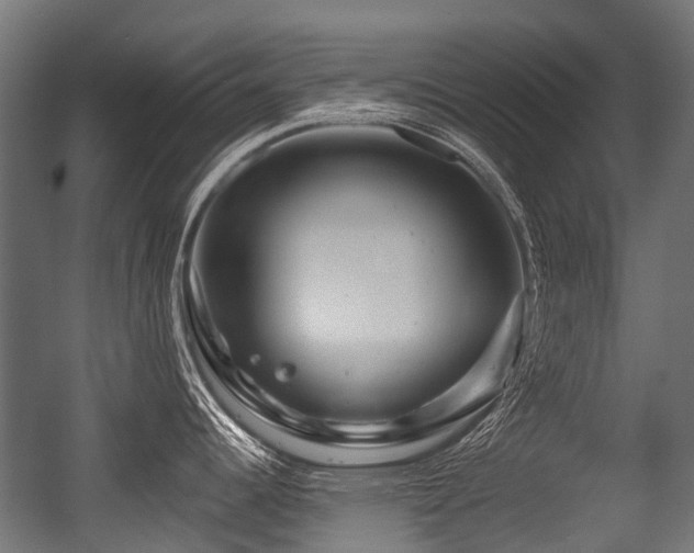 X0000056381344200508291402