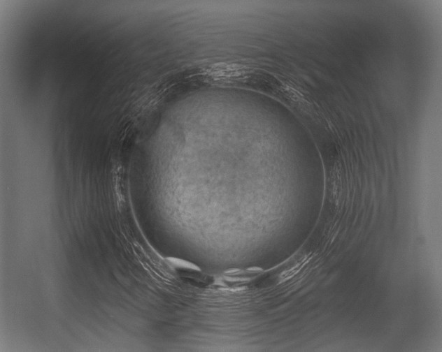 X0000056381346200508291401