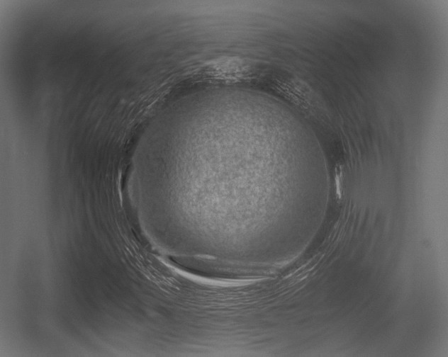 X0000056381347200508291401
