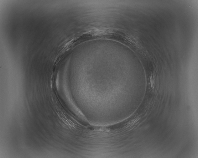 X0000056381348200508291401