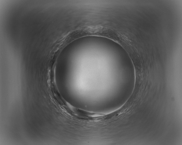 X0000056381349200508291401