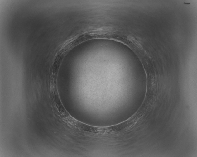 X0000056381350200508291401