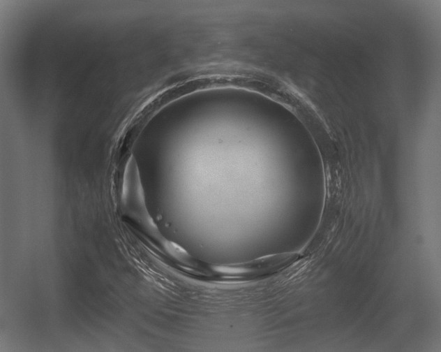 X0000056381352200508291401