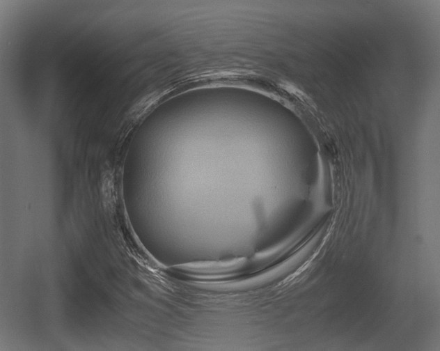 X0000056381353200508291401