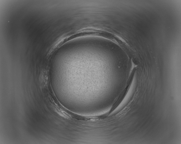 X0000056381355200508291401