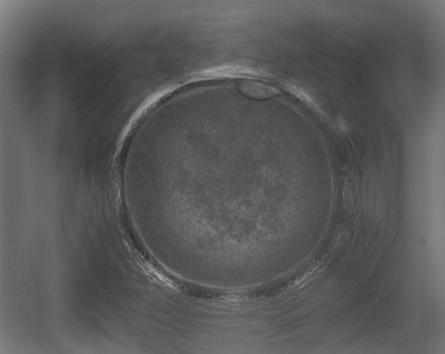 X0000056381358200508291401