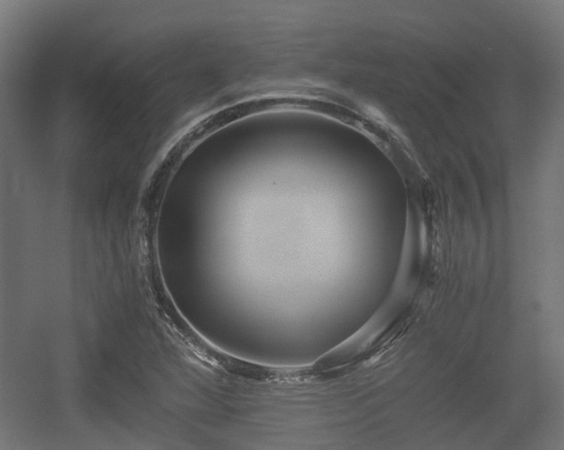 X0000056381360200508291401