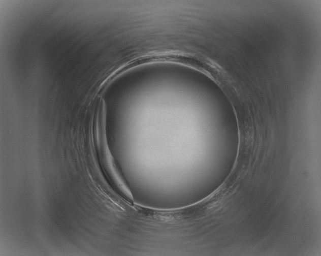 X0000056381361200508291401