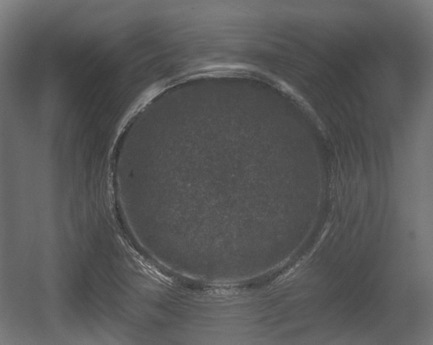 X0000056381362200508291401