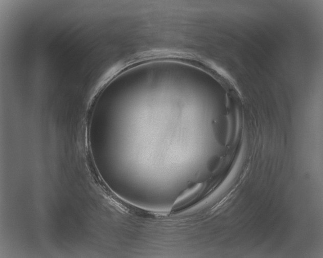 X0000056381365200508291401