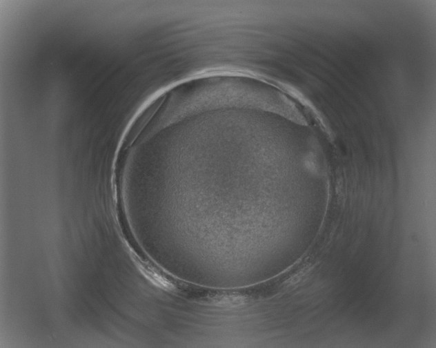 X0000056381372200508291401